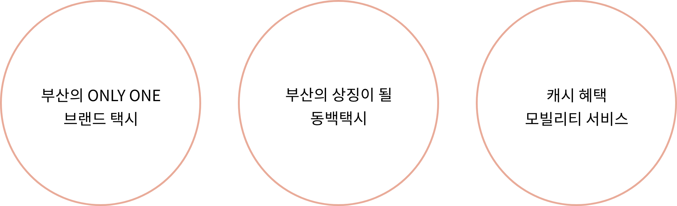 동백택시 이미지