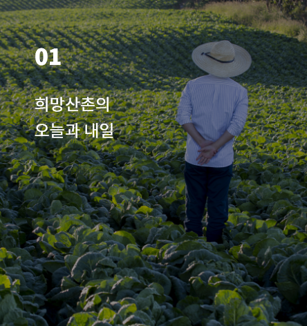 1번이미지