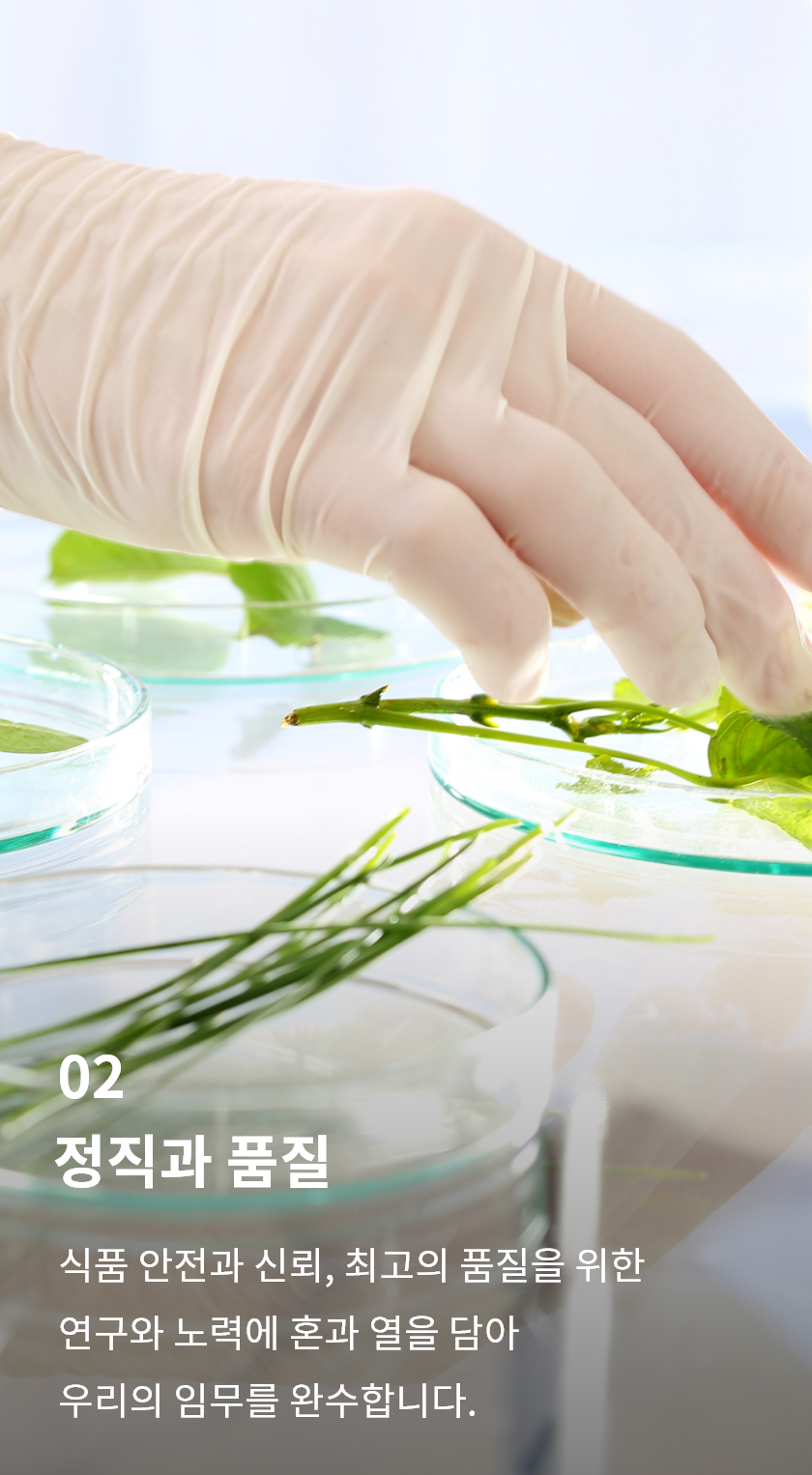 섹션3 2번이미지