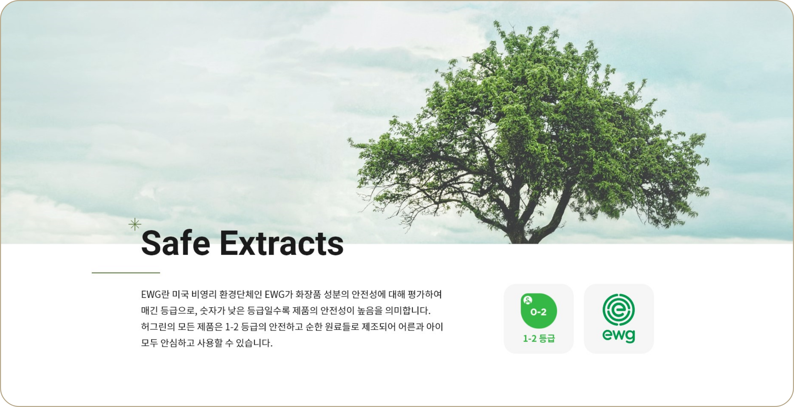 허그린 이미지입니다