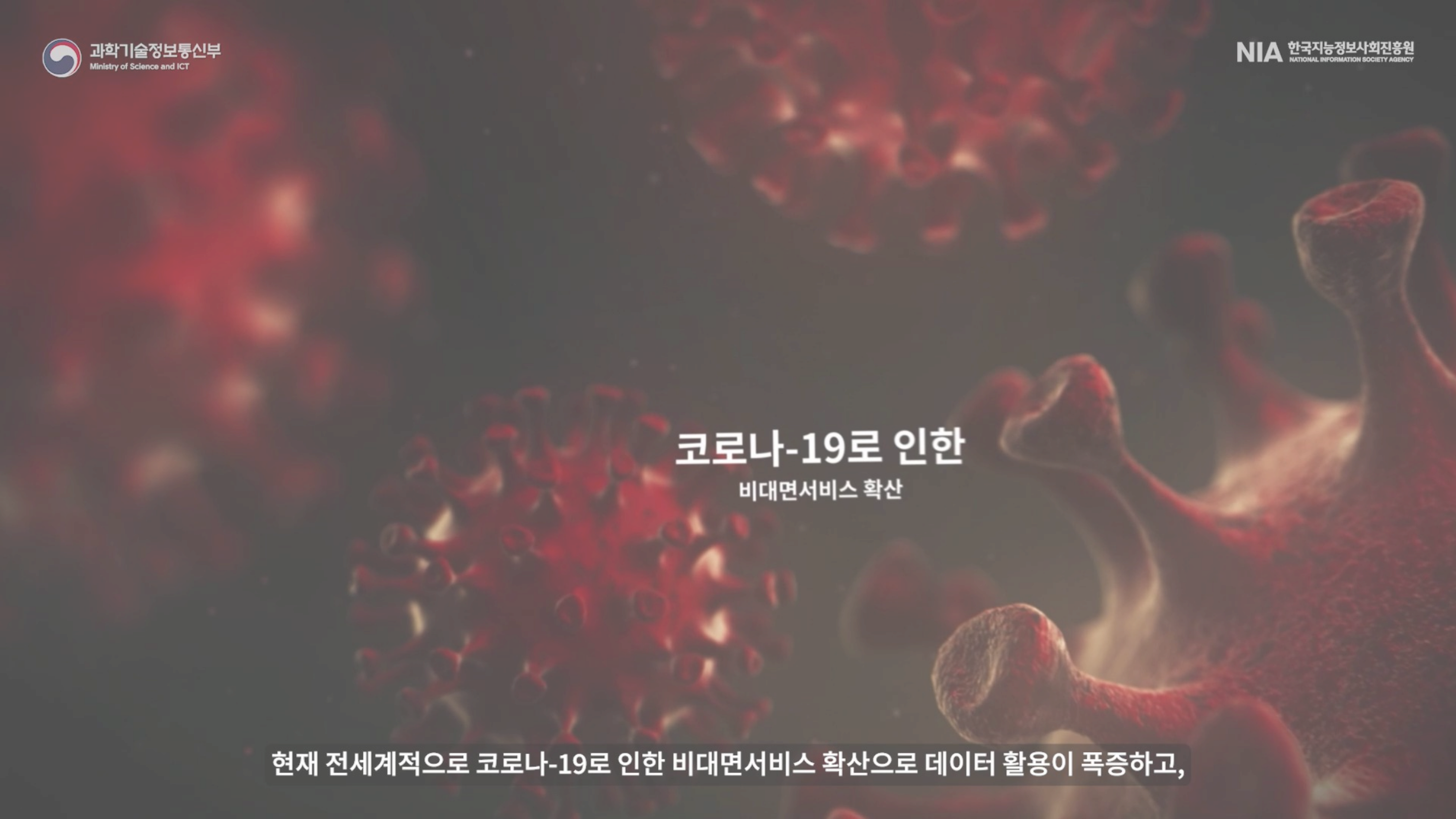 비디오 이미지