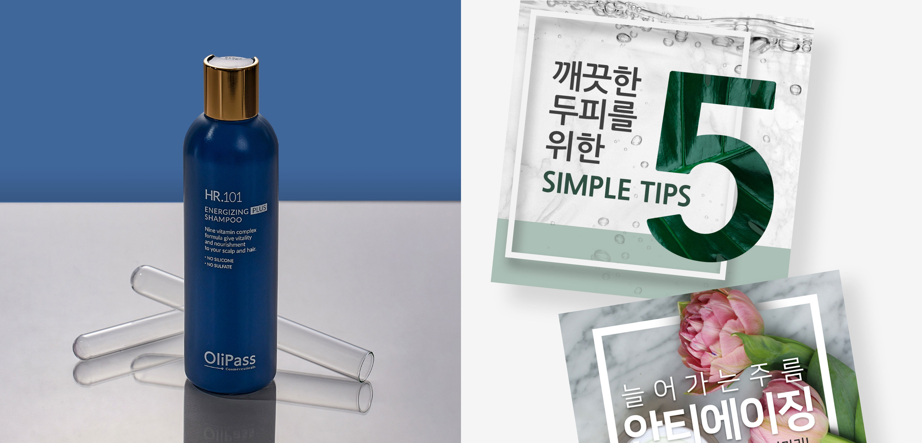 올리패스 이미지