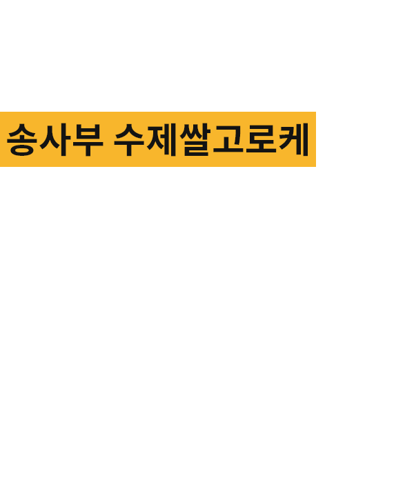 섹션1 이미지